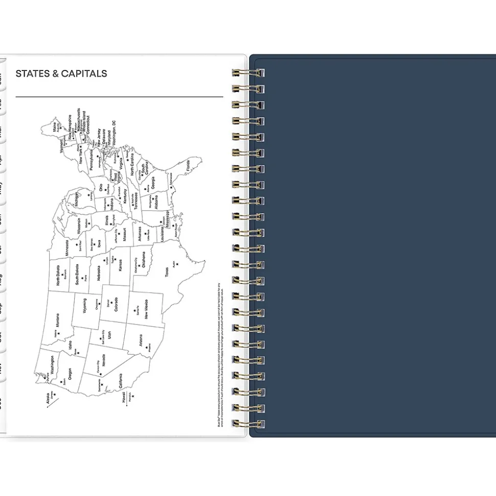 2025 Blue Sky Dellania 5" x 8" Weekly & Monthly Planner, Plastic Cover, Multicolor (148215)