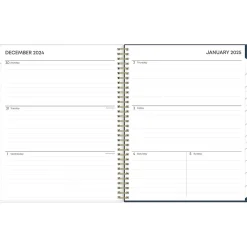 2025 Blue Sky Dellania 8.5" x 11" Weekly & Monthly Planner, Plastic Cover, Multicolor (148212)