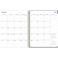 2025 Blue Sky Dellania 8.5