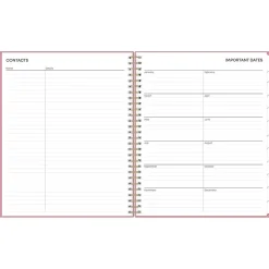 2025 Blue Sky Dusty Rose 8