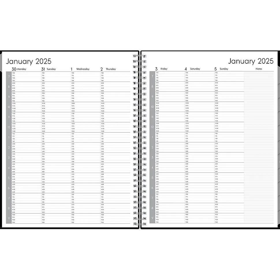 2025 Blue Sky Enterprise 8.5" x 11" Weekly & Monthly Appointment Book, Plastic Cover, Black (111289-25)