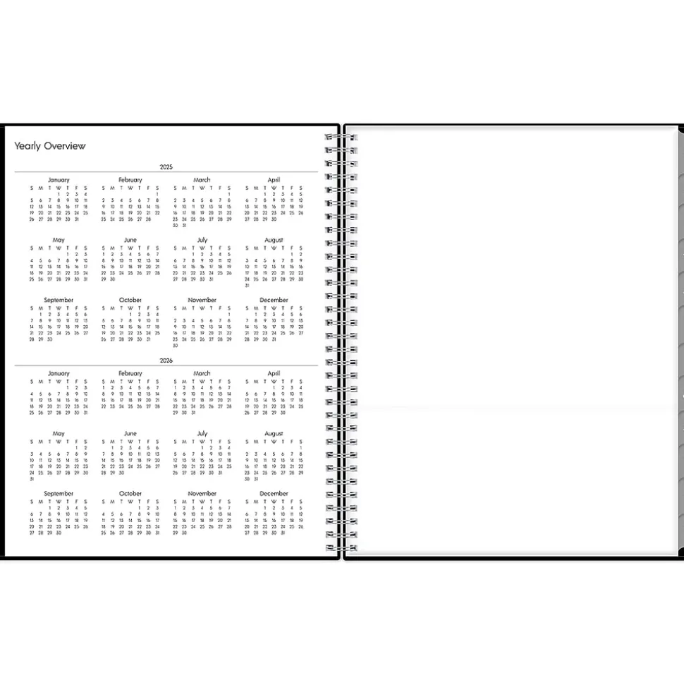 2025 Blue Sky Enterprise 8.5" x 11" Weekly & Monthly Appointment Book, Plastic Cover, Black (111289-25)