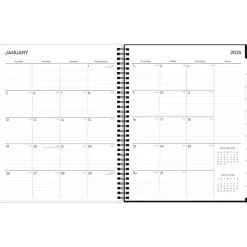 2025 Blue Sky Fran 8.5