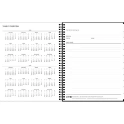 2025 Blue Sky Fran 8.5