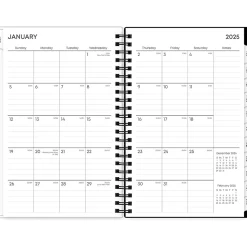 2025 Blue Sky Fran 5