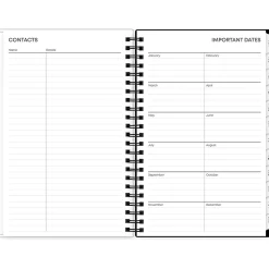 2025 Blue Sky Fran 5