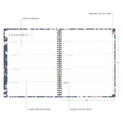 2025 Blue Sky Green Earth Effie 8.5