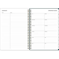 2024-2025 Blue Sky Greta 5.88