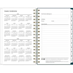 2024-2025 Blue Sky Greta 3.63