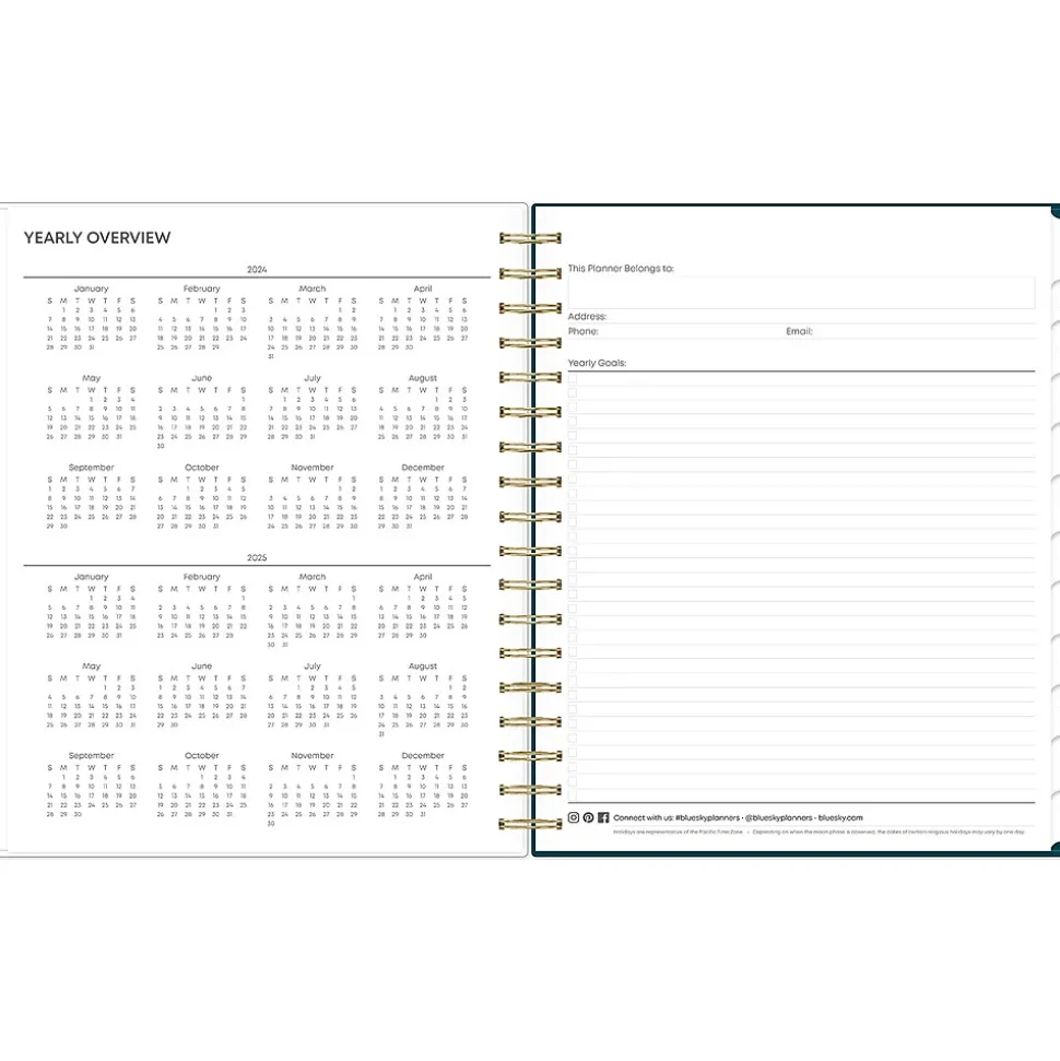 2024-2025 Blue Sky Greta 8" x 10" Academic Daily & Monthly Planner, Multicolor (146839)