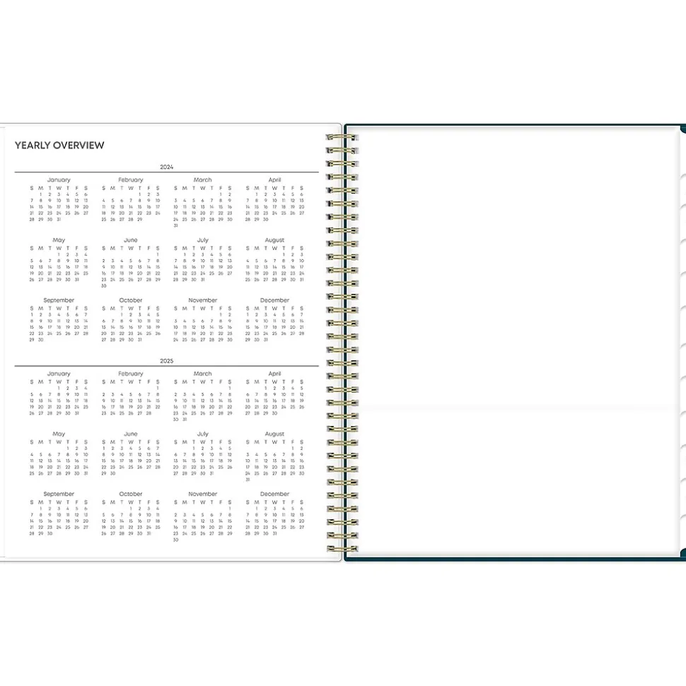 2024-2025 Blue Sky Greta 8.5" x 11" Academic Weekly & Monthly Planner, Plastic Cover, Green (136479-A25)