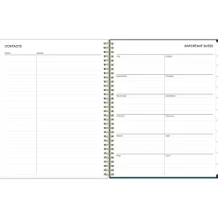 2024-2025 Blue Sky Greta 8.5