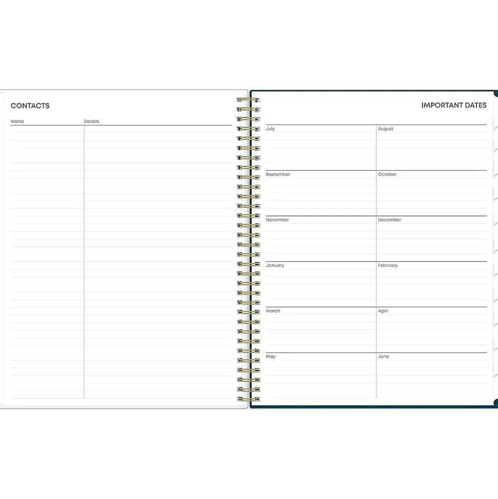 2024-2025 Blue Sky Greta 8.5" x 11" Academic Weekly & Monthly Planner, Plastic Cover, Green (136479-A25)