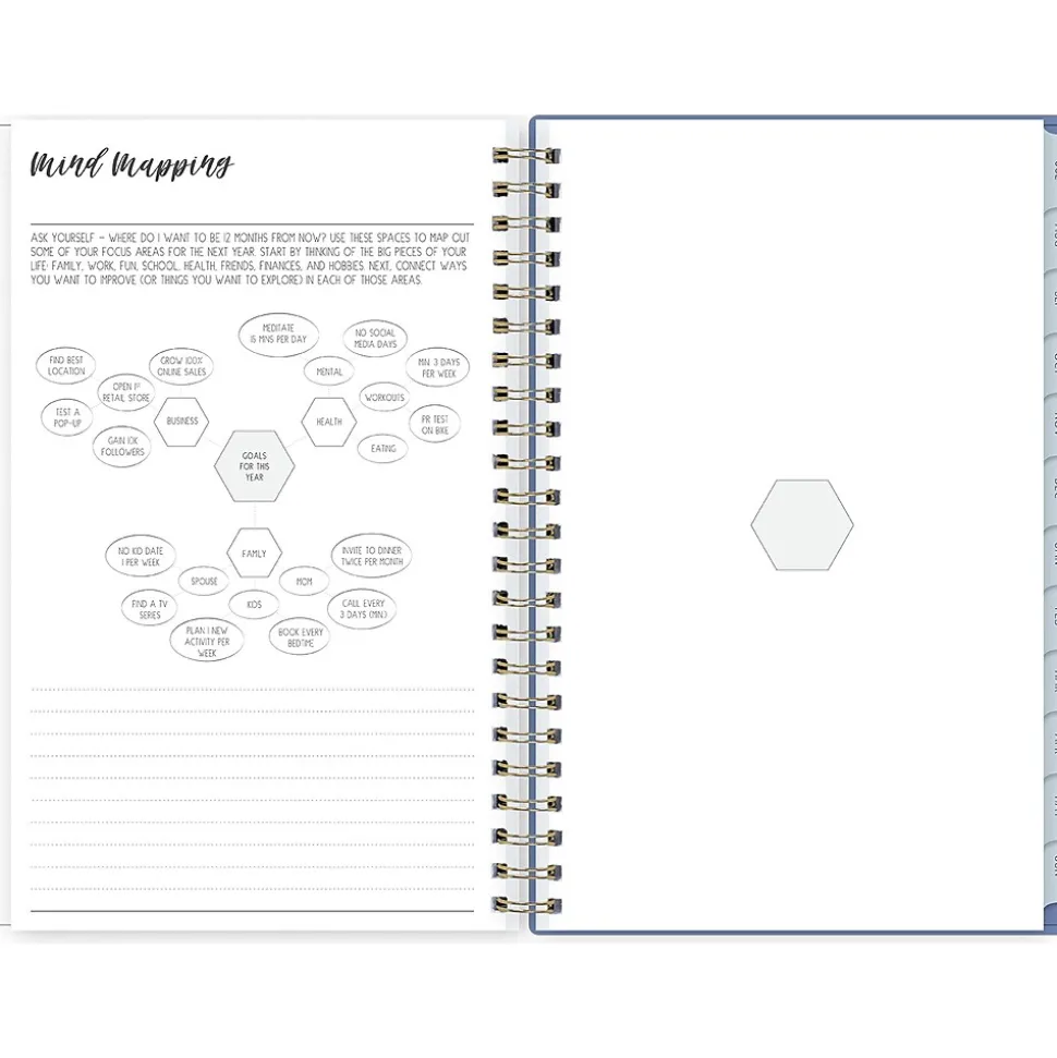 2024-2025 Blue Sky Ivory Paper Co Julieanne 5" x 8" Academic Weekly & Monthly Planner, Plastic Cover, Multicolor (146888)