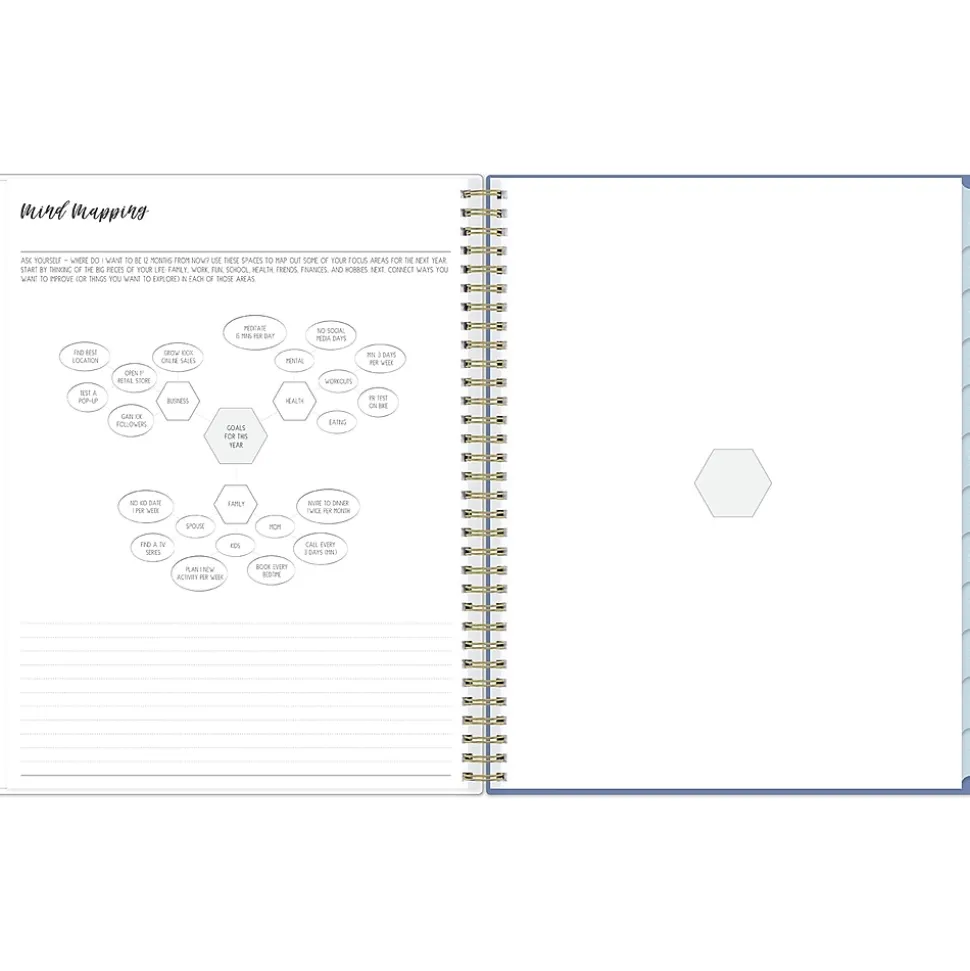 2024-2025 Blue Sky Ivory Paper Co Julieanne 8.5" x 11" Academic Weekly & Monthly Planner, Plastic Cover, Multicolor (146880)
