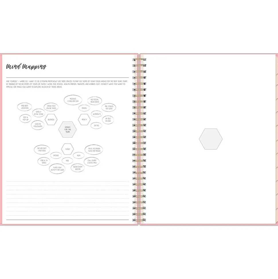 2024-2025 Blue Sky Ivory Paper Co Flamingo Pink 8" x 10" Academic Monthly Planner, Plastic Cover (146896)