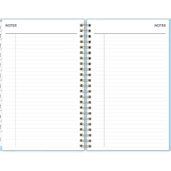 2024-2025 Blue Sky Jordy 5