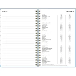 2024-2025 Blue Sky Jordy 5