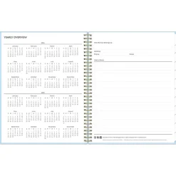 2024-2025 Blue Sky Jordy Blue 8.5