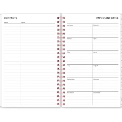 2025 Blue Sky Joselyn 5