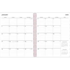 2025 Blue Sky Joselyn 8.5