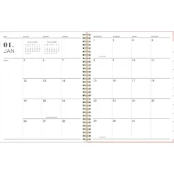 2025 Blue Sky Julissa 8.5