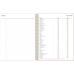 2025 Blue Sky Julissa 8.5