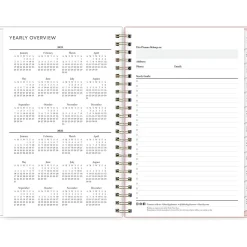 2025 Blue Sky Julissa 8.5