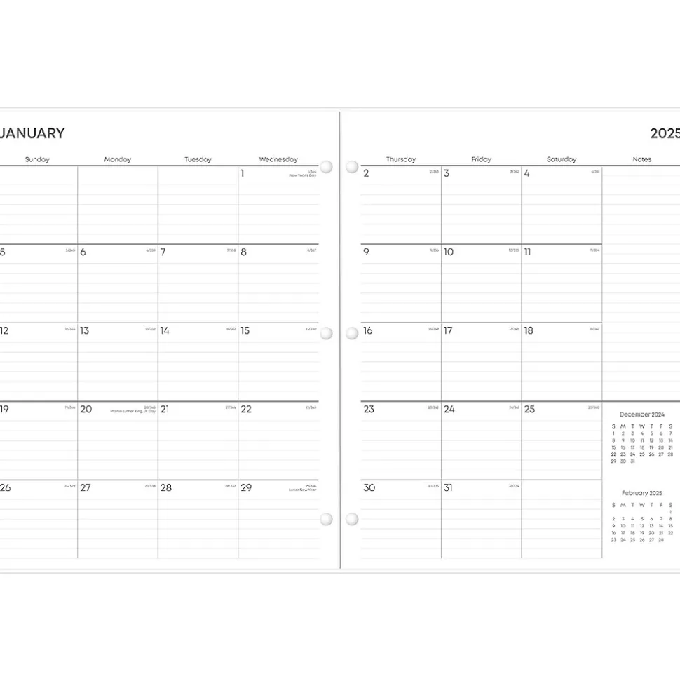 2025 Blue Sky Juno 8.5" x 11" Monthly Planner, Plastic Cover, Pink (152266)