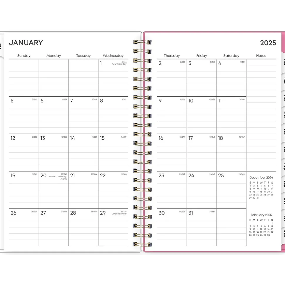 2025 Blue Sky Juno Pink 5" x 8" Weekly & Monthly Planner, Plastic Cover, Multicolor (152265)