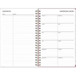 2025 Blue Sky Juno Pink 5