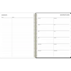 2025 Blue Sky Katya 8.5