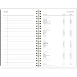 2025 Blue Sky Kelly Ventura Mimosa 5