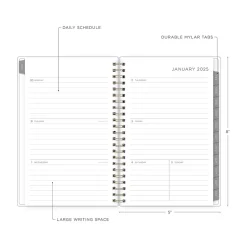 2025 Blue Sky Kelly Ventura Mimosa 5