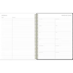 2025 Blue Sky Kelly Ventura Midnight Garden 8.5