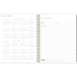 2025 Blue Sky Kelly Ventura Mimosa 8.5