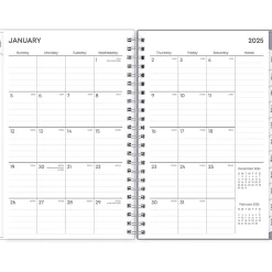 2025 Blue Sky Laila 5