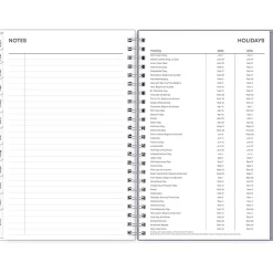 2025 Blue Sky Laila 5