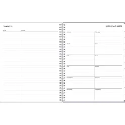 2025 Blue Sky Laila 8.5