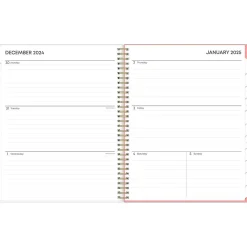 2025 Blue Sky Lanissa 8.5" x 11" Weekly & Monthly Planner, Plastic Cover, Multicolor (152255)