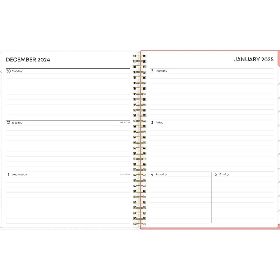 2025 Blue Sky Lanissa 8.5" x 11" Weekly & Monthly Planner, Plastic Cover, Multicolor (152255)