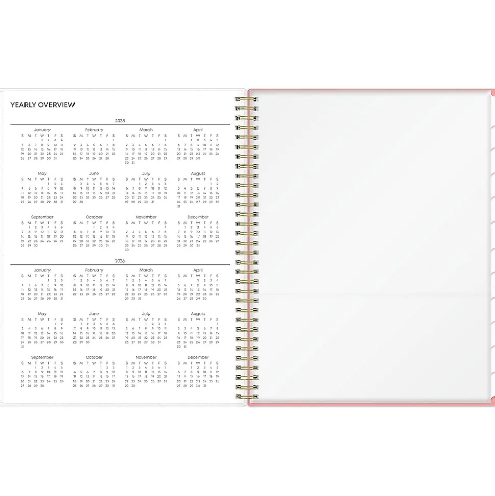 2025 Blue Sky Lanissa 8.5" x 11" Weekly & Monthly Planner, Plastic Cover, Multicolor (152255)