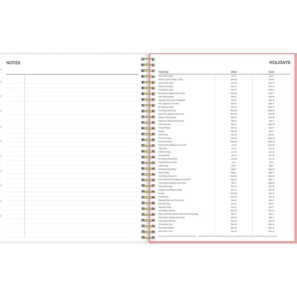 2025 Blue Sky Lanissa 8.5" x 11" Weekly & Monthly Planner, Plastic Cover, Multicolor (152255)