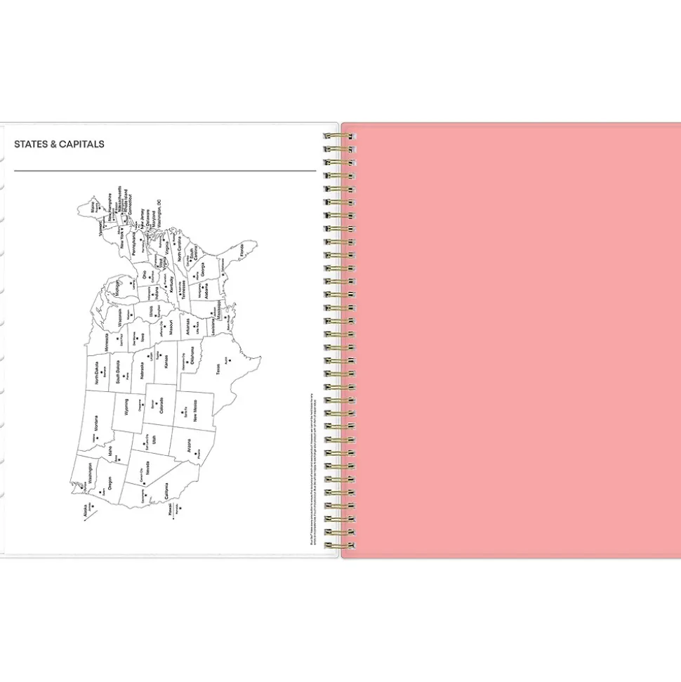 2025 Blue Sky Lanissa 8.5" x 11" Weekly & Monthly Planner, Plastic Cover, Multicolor (152255)