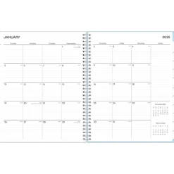 2025 Blue Sky Larah Blue 8.5