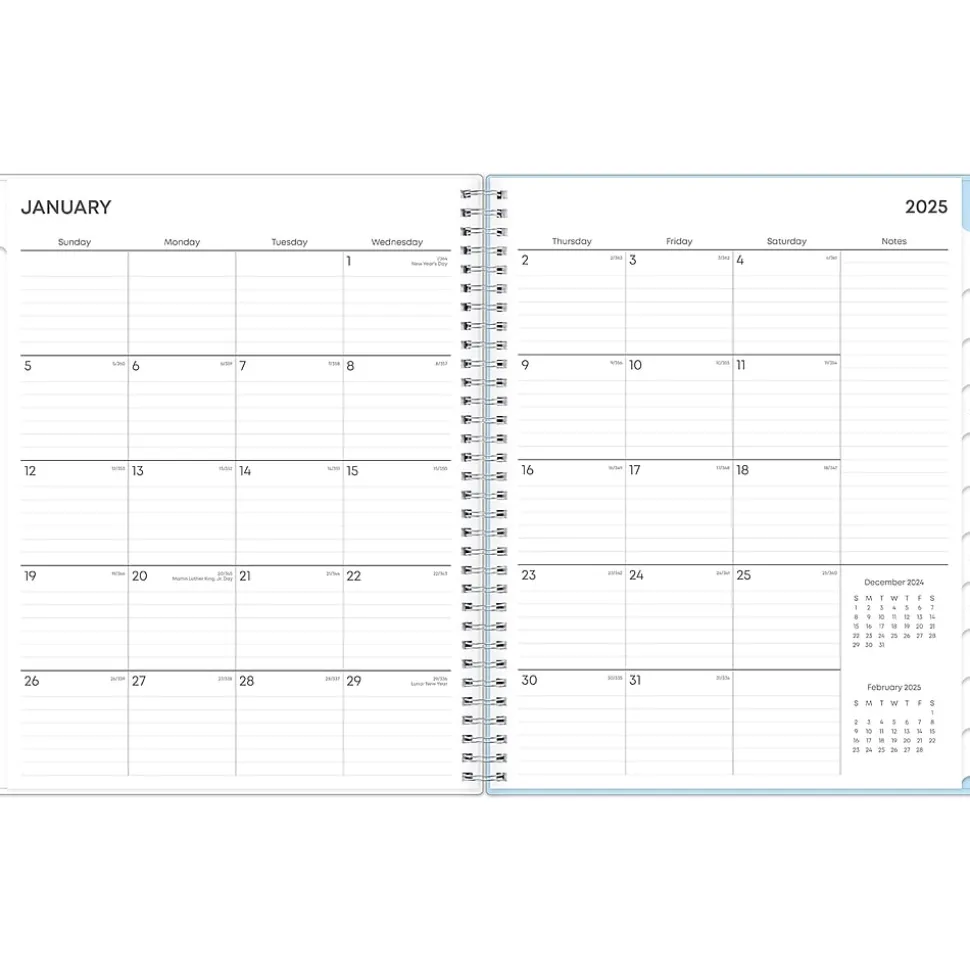 2025 Blue Sky Larah Blue 8.5" x 11" Weekly & Monthly Planner, Plastic Cover, Multicolor (152263)