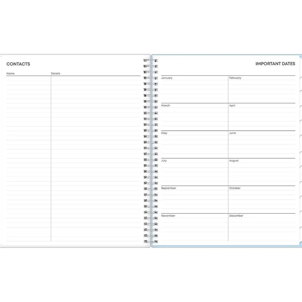 2025 Blue Sky Larah Blue 8.5" x 11" Weekly & Monthly Planner, Plastic Cover, Multicolor (152263)