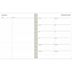 2025 Blue Sky Laurel 8.5