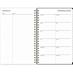 2025 Blue Sky Leafy Lounge 5