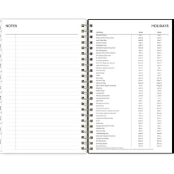 2025 Blue Sky Leafy Lounge 5